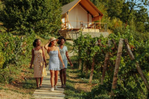 Lala Vineyard Glamping Resort